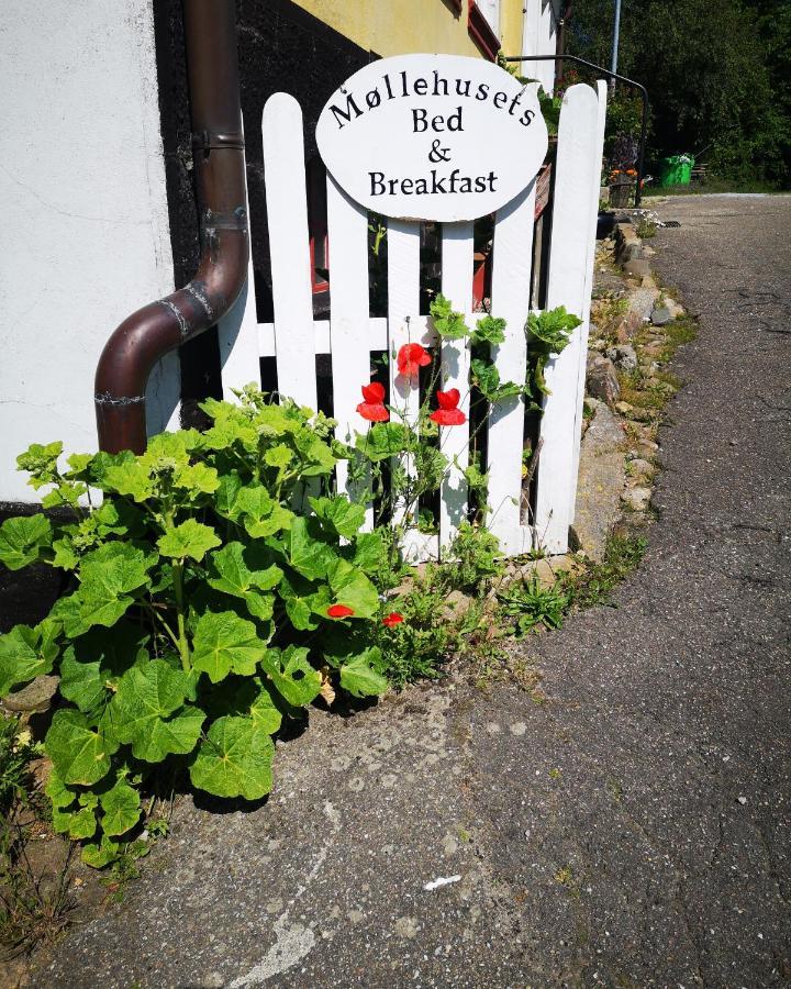 Mollehusets Bed & Breakfast Nordborg Exterior photo