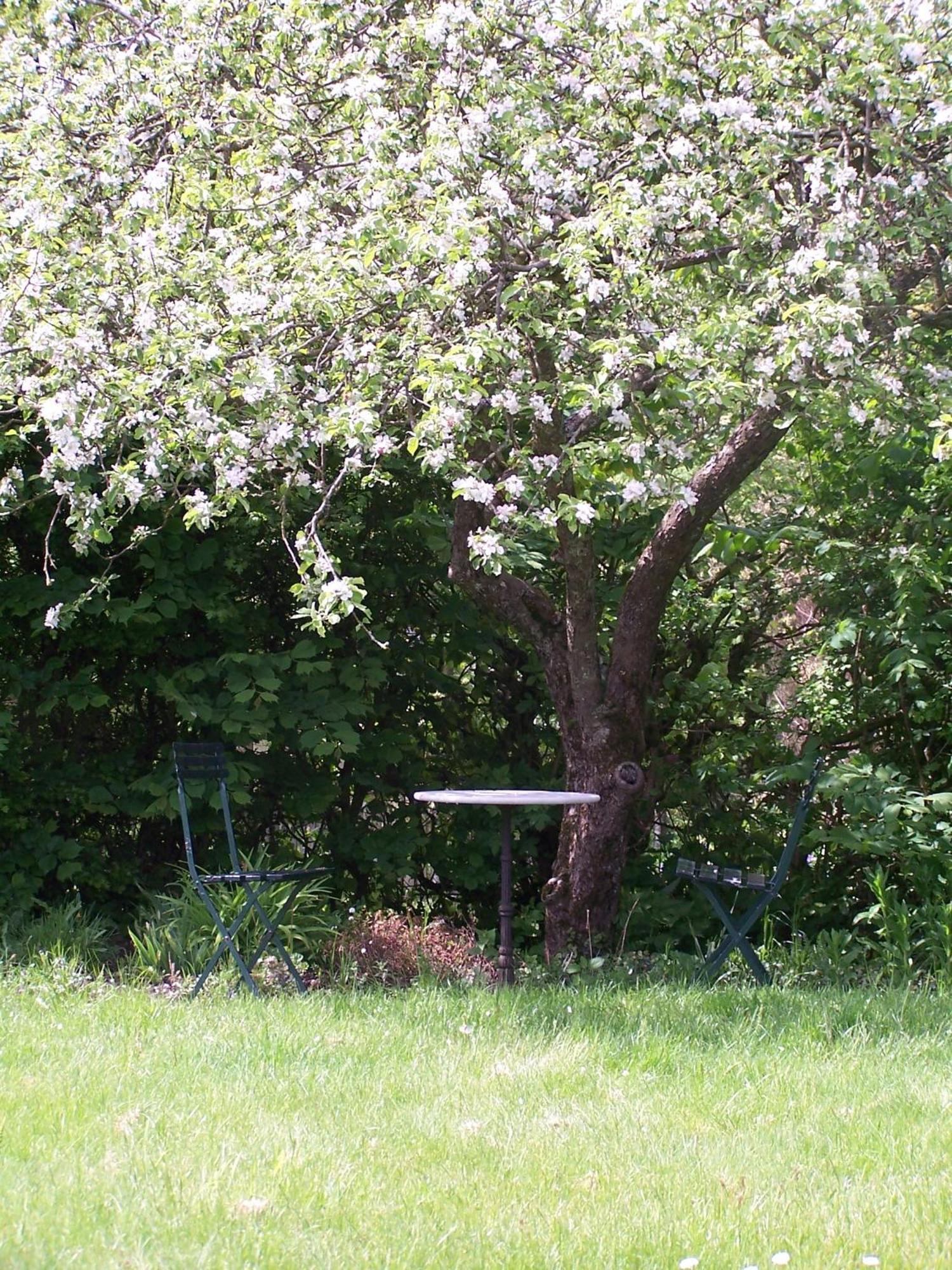 Mollehusets Bed & Breakfast Nordborg Exterior photo